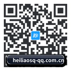 苹果独享爆料 二维码