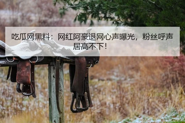 吃瓜网黑料：网红阿豪退网心声曝光，粉丝呼声居高不下！